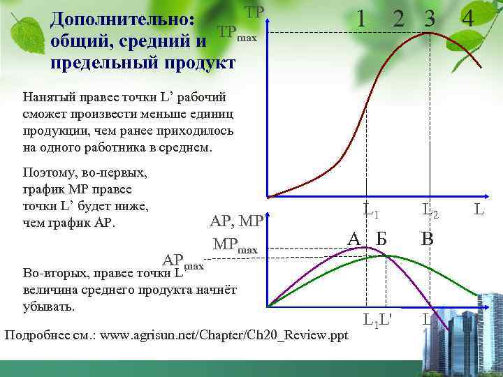 ТР Дополнительно: общий, средний и ТРmax предельный продукт 1 2 3 4 Нанятый правее
