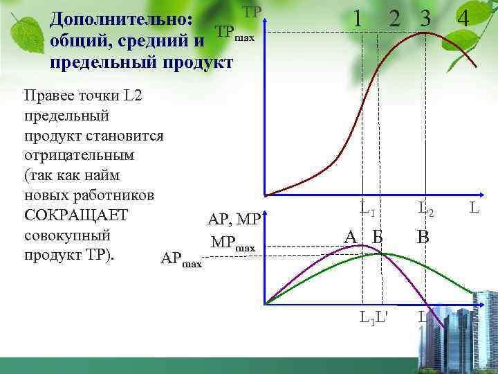 ТР Дополнительно: общий, средний и ТРmax предельный продукт Правее точки L 2 предельный продукт