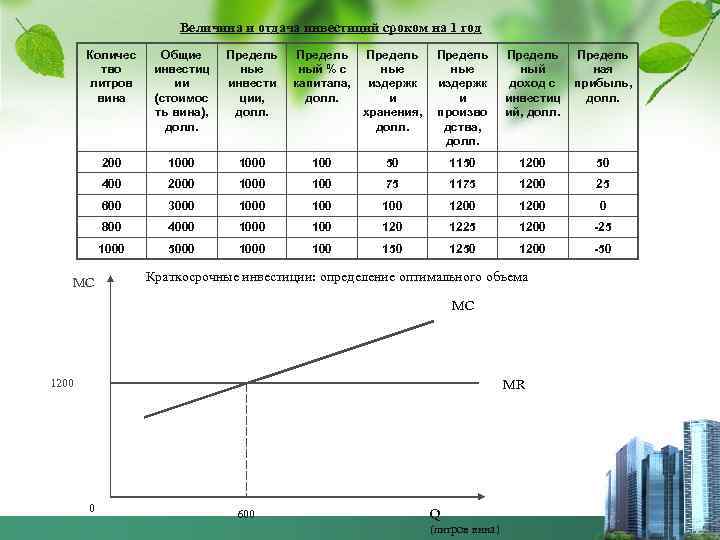 Величина и отдача инвестиций сроком на 1 год Количес тво литров вина Общие инвестиц