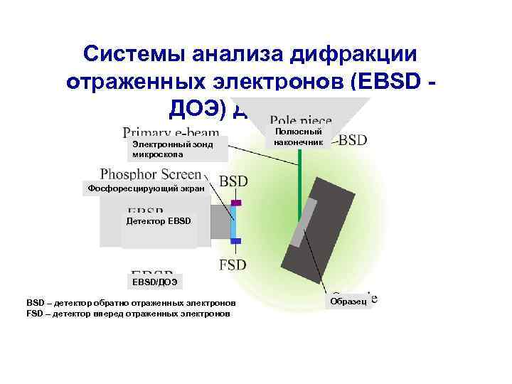 Системы анализа дифракции отраженных электронов (EBSD - ДОЭ) для РЭМ Электронный зонд микроскопа Полюсный