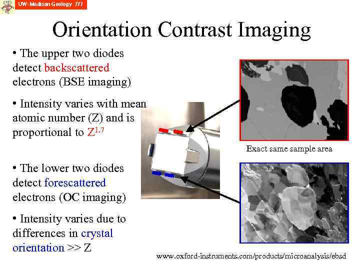 Orientation Contrast Imaging • The upper two diodes detect backscattered electrons (BSE imaging) •