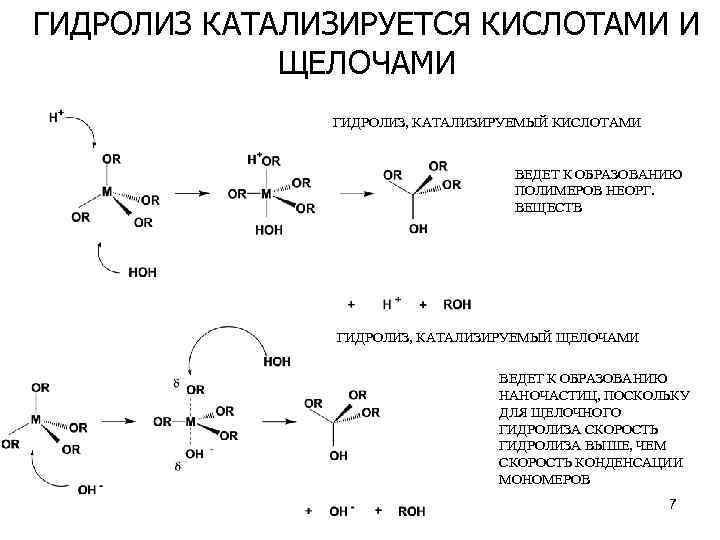 ГИДРОЛИЗ КАТАЛИЗИРУЕТСЯ КИСЛОТАМИ И ЩЕЛОЧАМИ ГИДРОЛИЗ, КАТАЛИЗИРУЕМЫЙ КИСЛОТАМИ ВЕДЕТ К ОБРАЗОВАНИЮ ПОЛИМЕРОВ НЕОРГ. ВЕЩЕСТВ