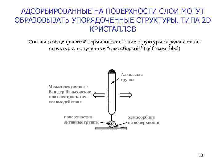 АДСОРБИРОВАННЫЕ НА ПОВЕРХНОСТИ СЛОИ МОГУТ ОБРАЗОВЫВАТЬ УПОРЯДОЧЕННЫЕ СТРУКТУРЫ, ТИПА 2 D КРИСТАЛЛОВ Согласно общепринятой