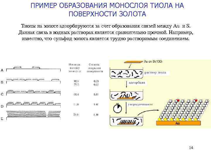 ПРИМЕР ОБРАЗОВАНИЯ МОНОСЛОЯ ТИОЛА НА ПОВЕРХНОСТИ ЗОЛОТА Тиолы на золоте адсорбируются за счет образования