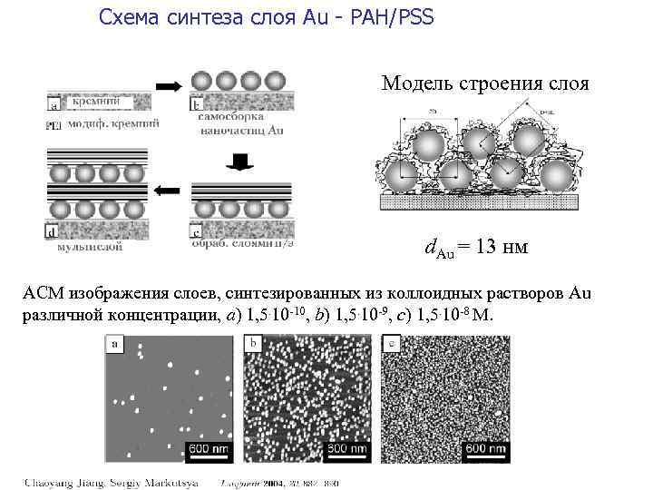 Схема синтеза слоя Au - PAH/PSS Модель строения слоя d. Au = 13 нм