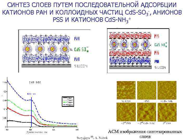 СИНТЕЗ СЛОЕВ ПУТЕМ ПОСЛЕДОВАТЕЛЬНОЙ АДСОРБЦИИ КАТИОНОВ PAH И КОЛЛОИДНЫХ ЧАСТИЦ Cd. S-SO 3 -,