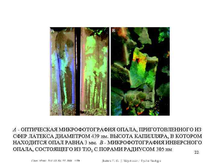 А - ОПТИЧЕСКАЯ МИКРОФОТОГРАФИЯ ОПАЛА, ПРИГОТОВЛЕННОГО ИЗ СФЕР ЛАТЕКСА ДИАМЕТРОМ 439 нм. ВЫСОТА КАПИЛЛЯРА,