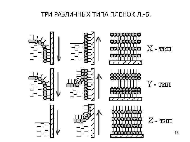 ТРИ РАЗЛИЧНЫХ ТИПА ПЛЕНОК Л. -Б. 13 