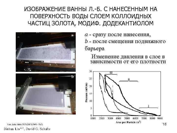 ИЗОБРАЖЕНИЕ ВАННЫ Л. -Б. С НАНЕСЕННЫМ НА ПОВЕРХНОСТЬ ВОДЫ СЛОЕМ КОЛЛОИДНЫХ ЧАСТИЦ ЗОЛОТА, МОДИФ.