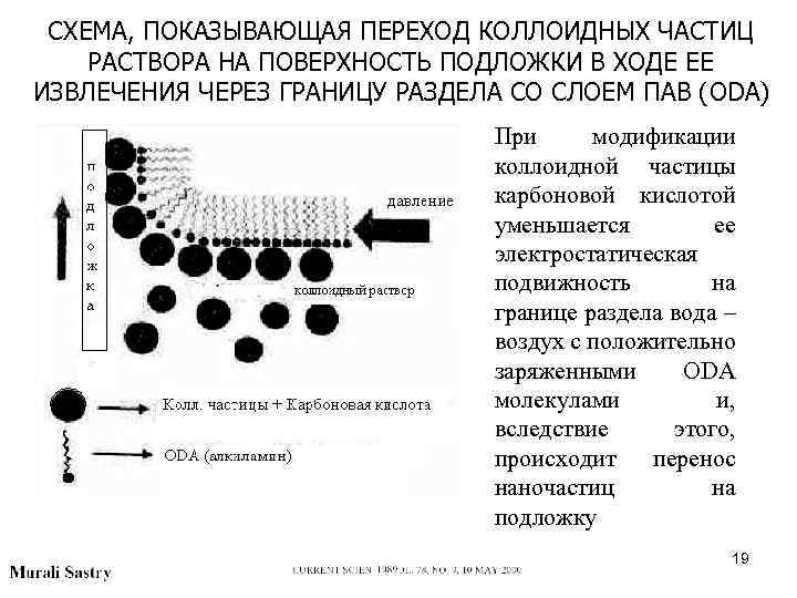 СХЕМА, ПОКАЗЫВАЮЩАЯ ПЕРЕХОД КОЛЛОИДНЫХ ЧАСТИЦ РАСТВОРА НА ПОВЕРХНОСТЬ ПОДЛОЖКИ В ХОДЕ ЕЕ ИЗВЛЕЧЕНИЯ ЧЕРЕЗ