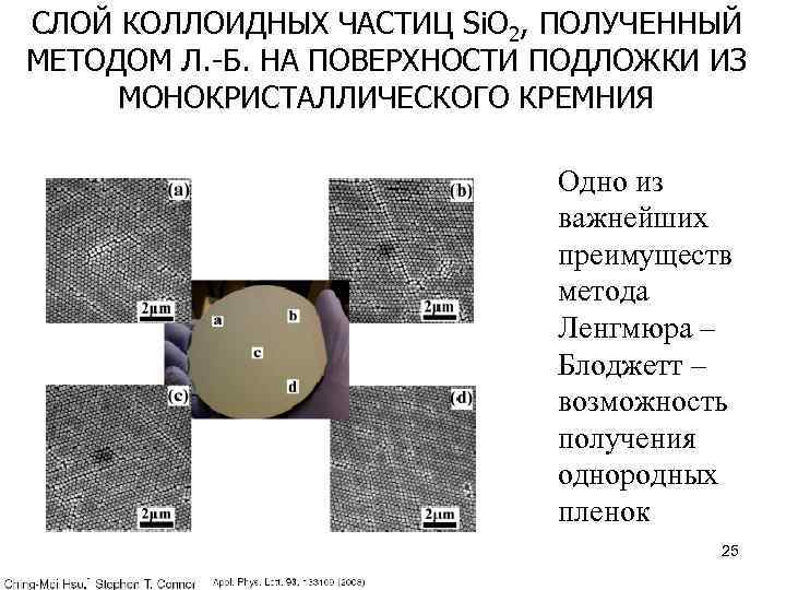 СЛОЙ КОЛЛОИДНЫХ ЧАСТИЦ Si. O 2, ПОЛУЧЕННЫЙ МЕТОДОМ Л. -Б. НА ПОВЕРХНОСТИ ПОДЛОЖКИ ИЗ