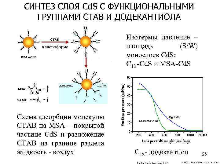 СИНТЕЗ СЛОЯ Cd. S C ФУНКЦИОНАЛЬНЫМИ ГРУППАМИ CTAB И ДОДЕКАНТИОЛА Изотермы давление – площадь