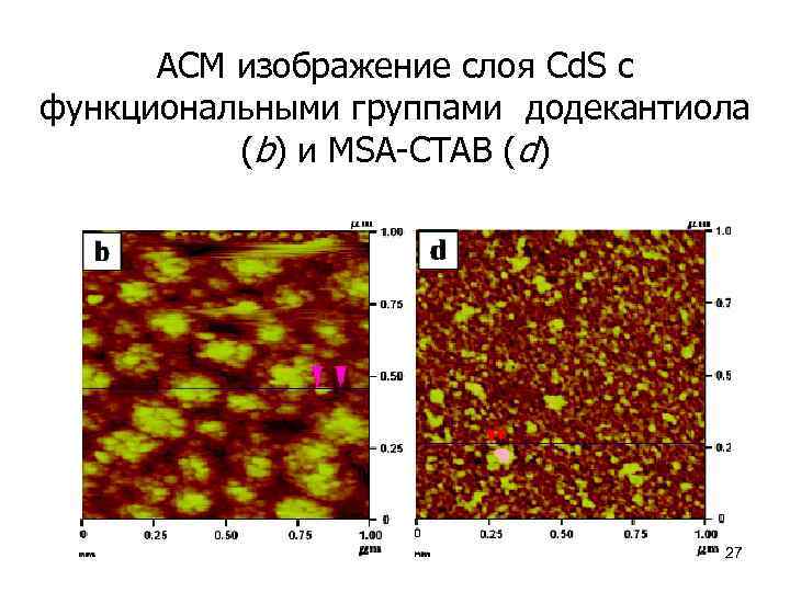 АСМ изображение слоя Cd. S c функциональными группами додекантиола (b) и MSA-CTAB (d) 27