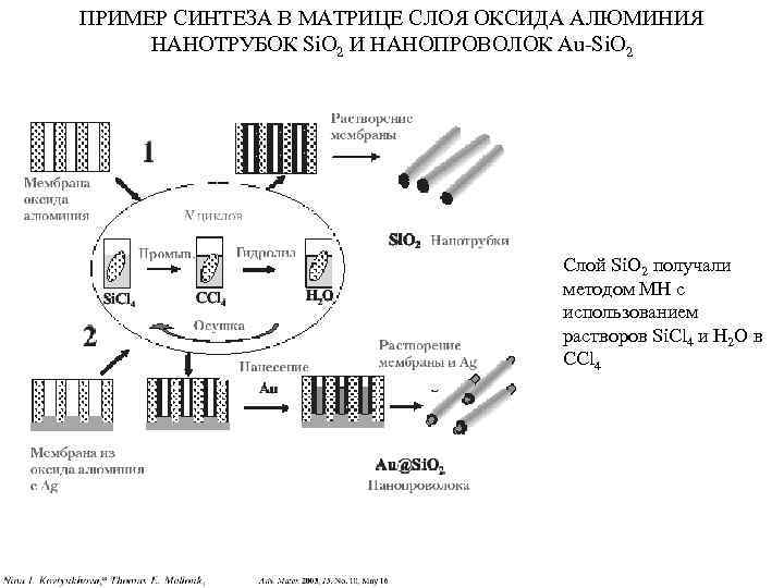 ПРИМЕР СИНТЕЗА В МАТРИЦЕ СЛОЯ ОКСИДА АЛЮМИНИЯ НАНОТРУБОК Si. O 2 И НАНОПРОВОЛОК Au-Si.