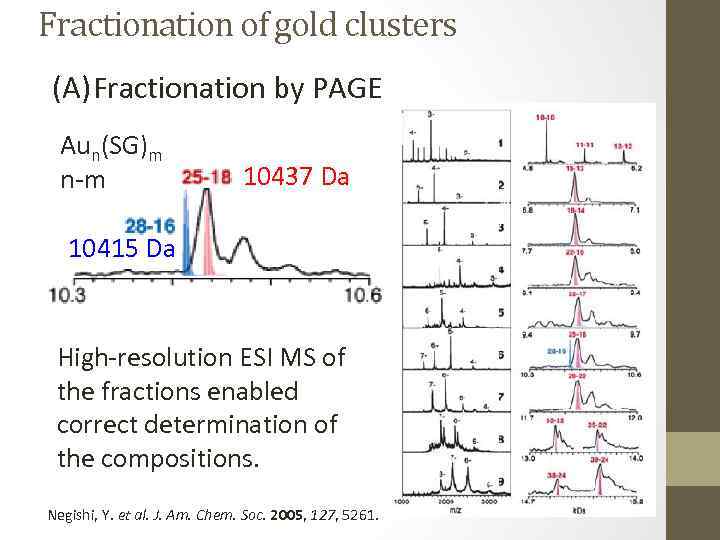 Fractionation of gold clusters (A) Fractionation by PAGE Aun(SG)m n-m 10437 Da 10415 Da