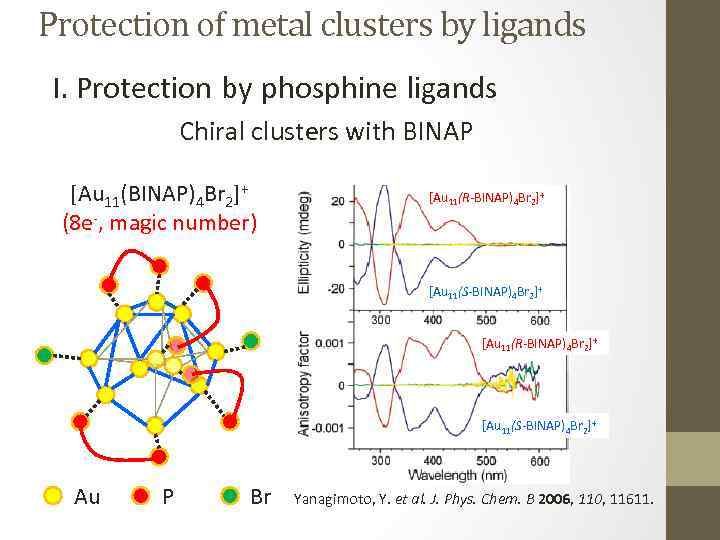 Protection of metal clusters by ligands I. Protection by phosphine ligands Chiral clusters with