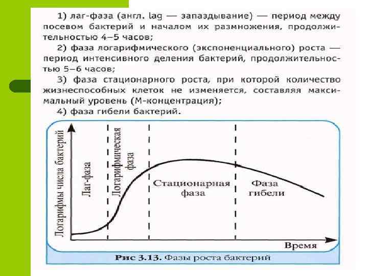 Фазы a b c. Лаг фаза роста бактерий. Фазы роста бактерий лаг фаза. Лаг фаза. Лаг фаза Лог фаза.