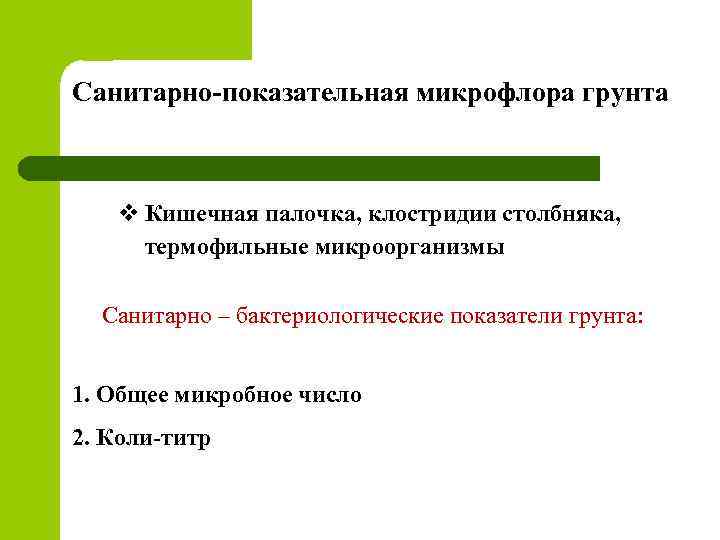 Санитарно-показательная микрофлора грунта v Кишечная палочка, клостридии столбняка, термофильные микроорганизмы Санитарно – бактериологические показатели