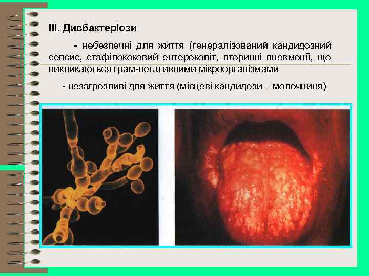 ІІІ. Дисбактеріози - небезпечні для життя (генералізований кандидозний сепсис, стафілококовий ентероколіт, вторинні пневмонії, що