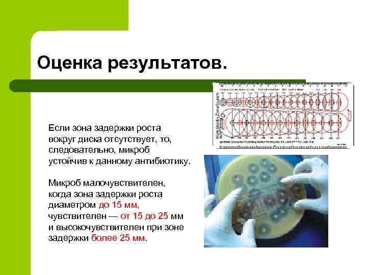 Оценка результатов. Если зона задержки роста вокруг диска отсутствует, то, следовательно, микроб устойчив к