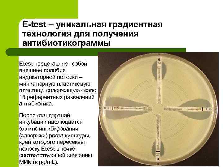 E-test – уникальная градиентная технология для получения антибиотикограммы Etest представляет собой внешнее подобие индикаторной