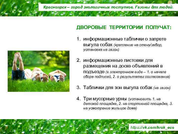 Красноярск – город экологичных поступков. Газоны для людей. ДВОРОВЫЕ ТЕРРИТОРИИ ПОЛУЧАТ: 1. информационные таблички