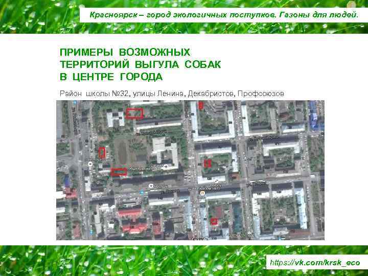 Красноярск – город экологичных поступков. Газоны для людей. ПРИМЕРЫ ВОЗМОЖНЫХ ТЕРРИТОРИЙ ВЫГУЛА СОБАК В