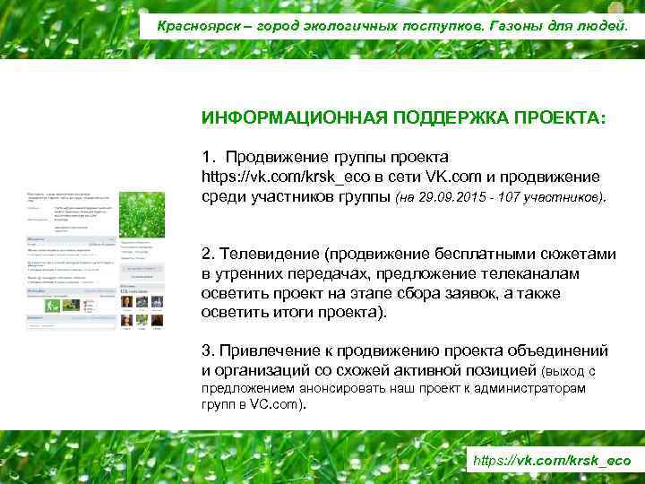 Красноярск – город экологичных поступков. Газоны для людей. ИНФОРМАЦИОННАЯ ПОДДЕРЖКА ПРОЕКТА: 1. Продвижение группы