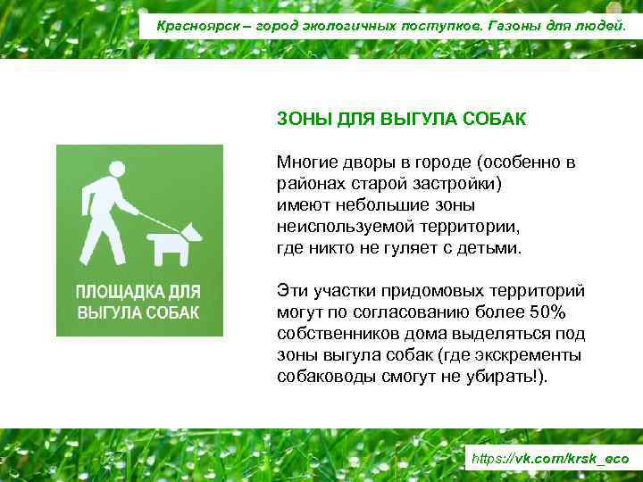 Красноярск – город экологичных поступков. Газоны для людей. ЗОНЫ ДЛЯ ВЫГУЛА СОБАК Многие дворы