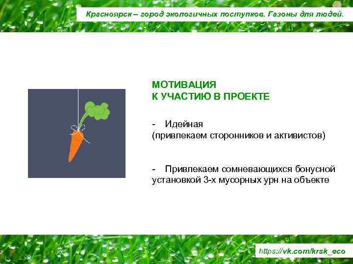 Красноярск – город экологичных поступков. Газоны для людей. МОТИВАЦИЯ К УЧАСТИЮ В ПРОЕКТЕ -