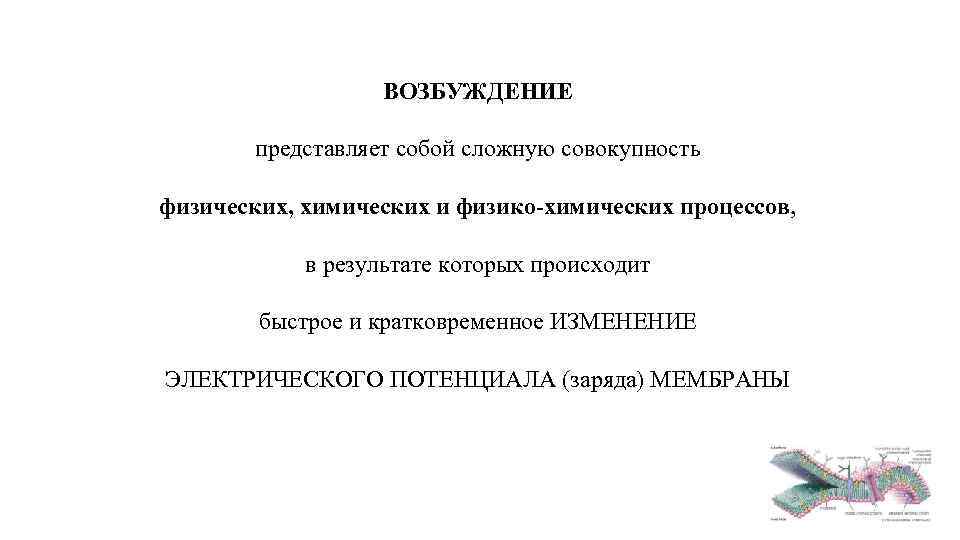 ВОЗБУЖДЕНИЕ представляет собой сложную совокупность физических, химических и физико-химических процессов, в результате которых происходит