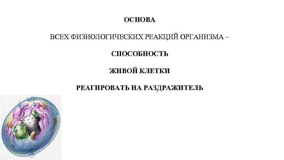 ОСНОВА ВСЕХ ФИЗИОЛОГИЧЕСКИХ РЕАКЦИЙ ОРГАНИЗМА – СПОСОБНОСТЬ ЖИВОЙ КЛЕТКИ РЕАГИРОВАТЬ НА РАЗДРАЖИТЕЛЬ 