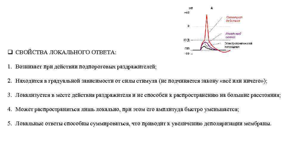 Локальный ответ характеристика