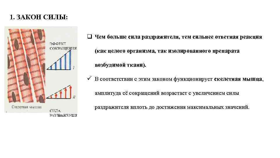 1. ЗАКОН СИЛЫ: q Чем больше сила раздражителя, тем сильнее ответная реакция (как целого