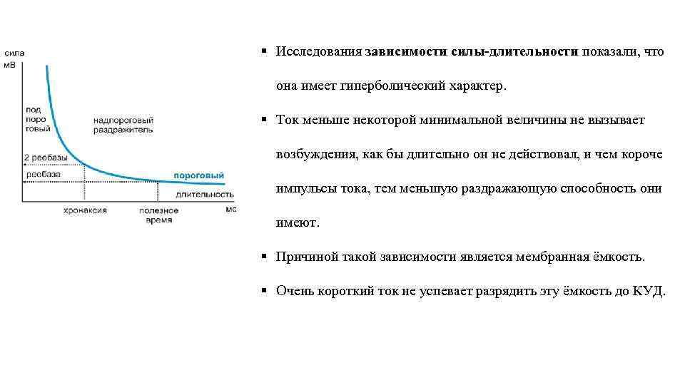 Реакция организма на продолжительность дня