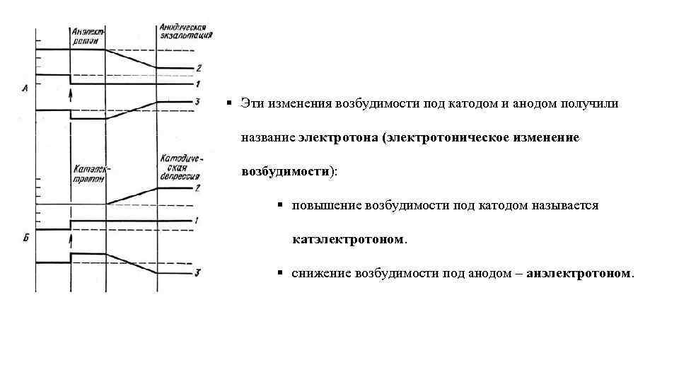 § Эти изменения возбудимости под катодом и анодом получили название электротона (электротоническое изменение возбудимости):
