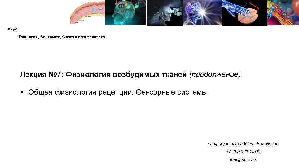 Курс физиологии и анатомии. Лекция 10 анатомия физиология. Барышников анатомия и физиология лекции. Курашвили Юлия Борисовна. Курашвили Юлия Борисовна прием.