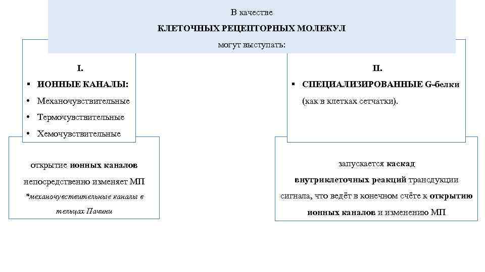 В качестве КЛЕТОЧНЫХ РЕЦЕПТОРНЫХ МОЛЕКУЛ могут выступать: I. § ИОННЫЕ КАНАЛЫ: • Механочувствительные II.