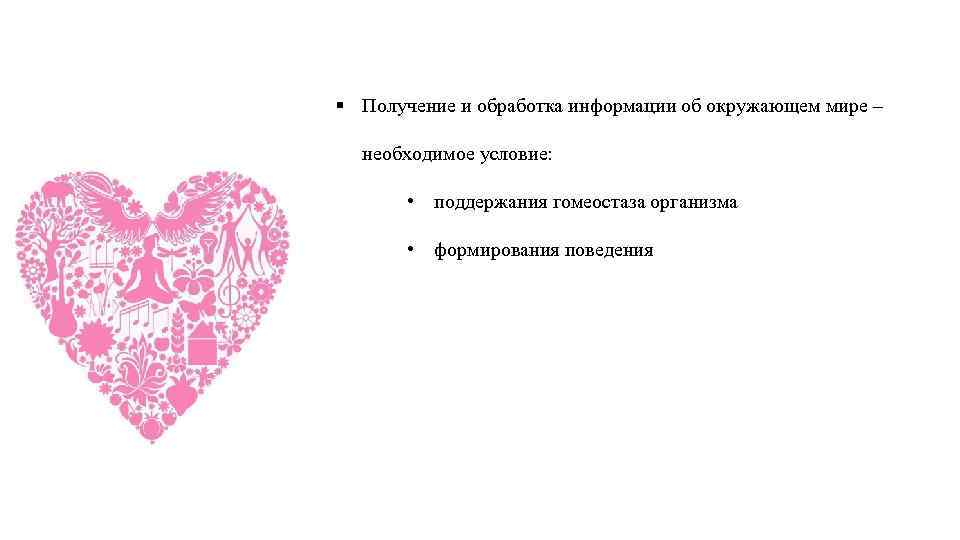 § Получение и обработка информации об окружающем мире – необходимое условие: • поддержания гомеостаза