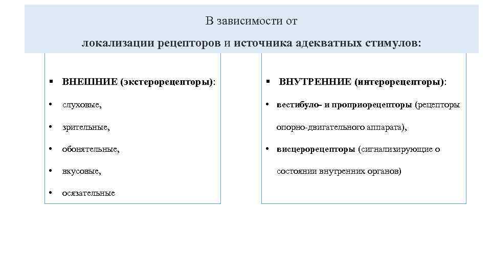 В зависимости от локализации рецепторов и источника адекватных стимулов: § ВНЕШНИЕ (экстерорецепторы): § ВНУТРЕННИЕ