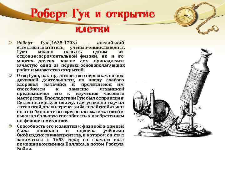 Роберт Гук и открытие клетки Роберт Гук (1635 -1703) — английский естествоиспытатель, учёный-энциклопедист. Гука