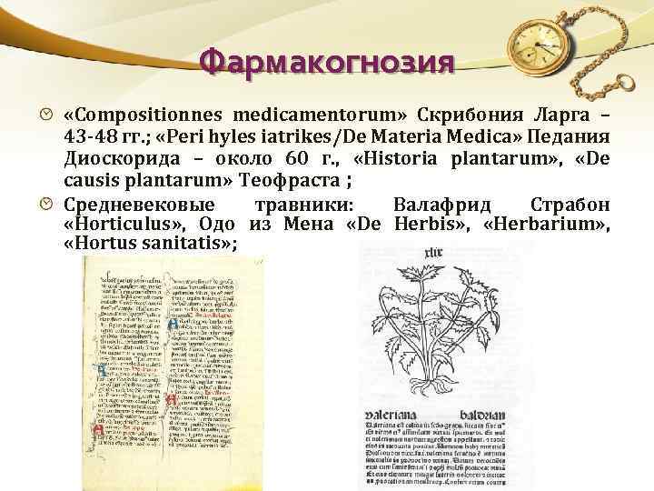 Фармакогнозия «Compositionnes medicamentorum» Скрибония Ларга – 43 -48 гг. ; «Peri hyles iatrikes/De Materia