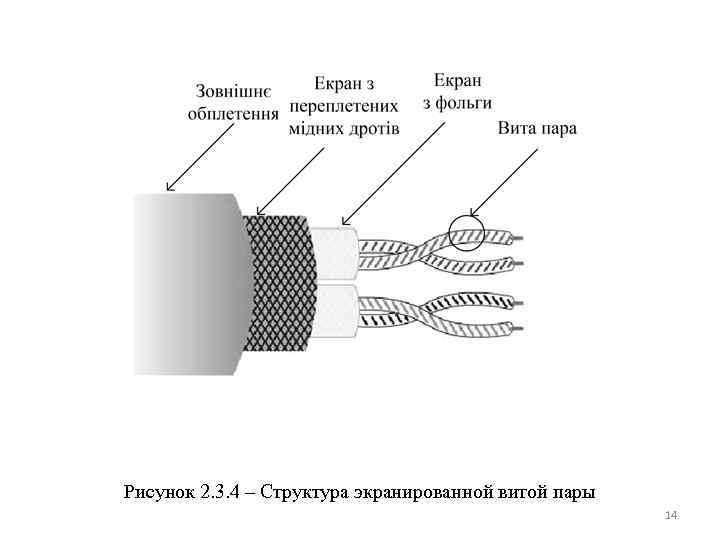 Строение пара