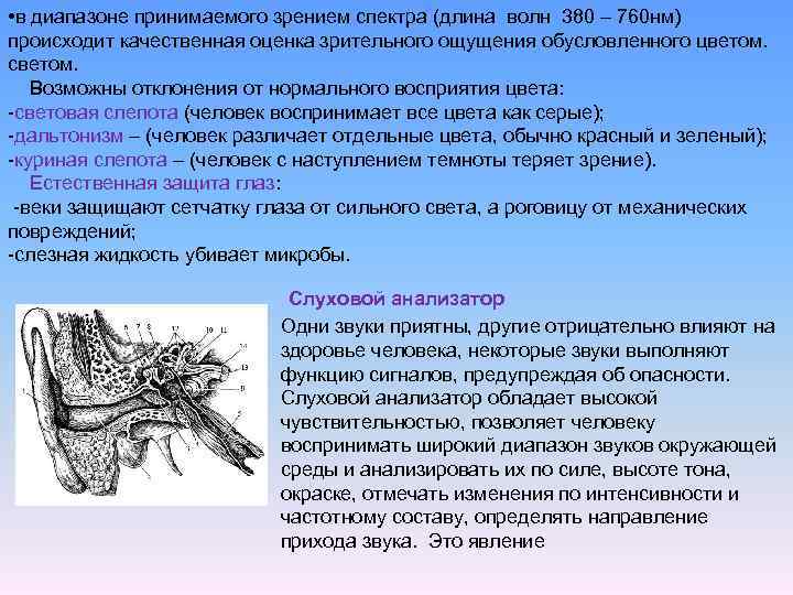  • в диапазоне принимаемого зрением спектра (длина волн 380 – 760 нм) происходит