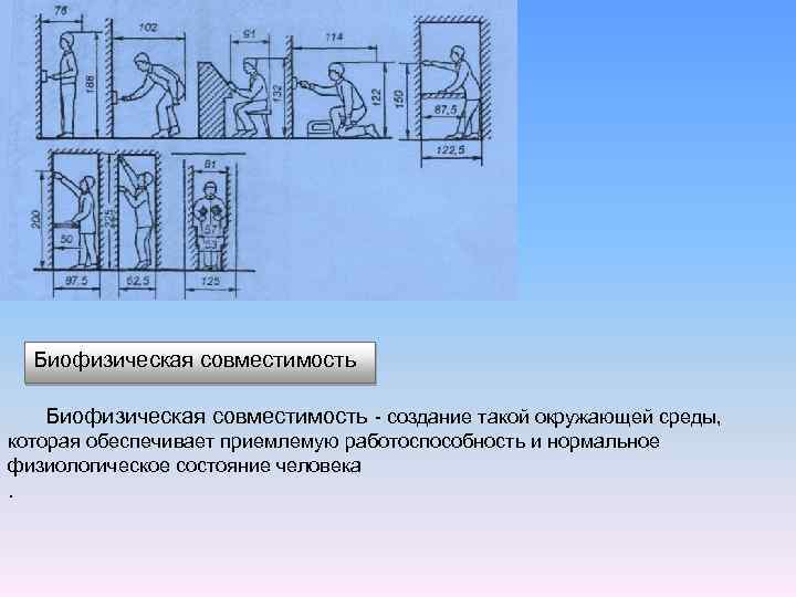  Биофизическая совместимость - создание такой окружающей среды, которая обеспечивает приемлемую работоспособность и нормальное