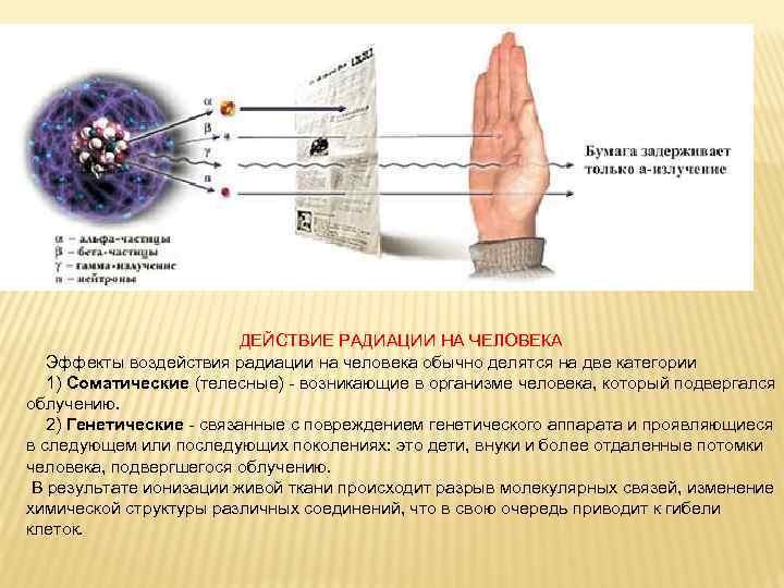 ДЕЙСТВИЕ РАДИАЦИИ НА ЧЕЛОВЕКА Эффекты воздействия радиации на человека обычно делятся на две категории