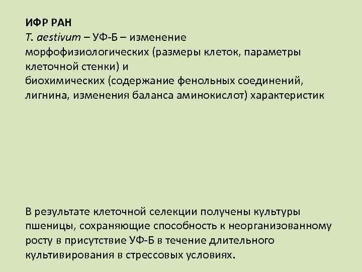 ИФР РАН T. aestivum – УФ-Б – изменение морфофизиологических (размеры клеток, параметры клеточной стенки)