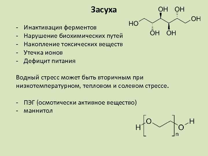 Засуха - Инактивация ферментов Нарушение биохимических путей Накопление токсических веществ Утечка ионов Дефицит питания