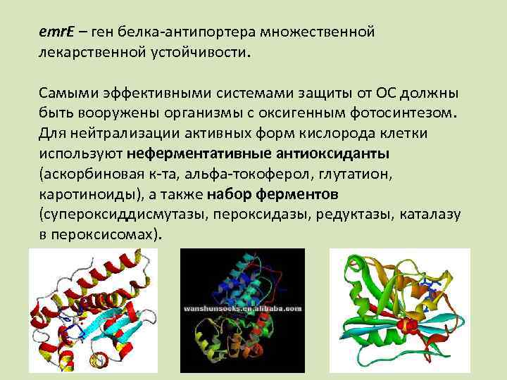 Геном белка. Белок множественной лекарственной устойчивости. Белок множественной лекарственной устойчивости биохимия. Защитные белки белок множественной лекарственной устойчивости. P-гликопротеин или белок множественной лекарственной устойчивости.