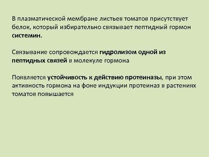 В плазматической мембране листьев томатов присутствует белок, который избирательно связывает пептидный гормон системин. Связывание